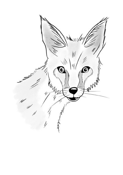 Cover von Inky Animals/Notizheft Inky Animals Fuchs