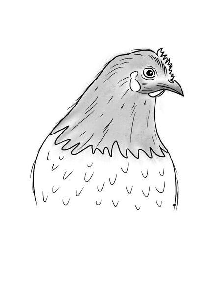 Cover von Inky Animals/Notizheft Inky Animals Huhn