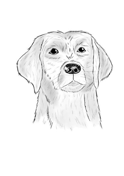 Cover von Inky Animals/Notizheft Inky Animals Hund