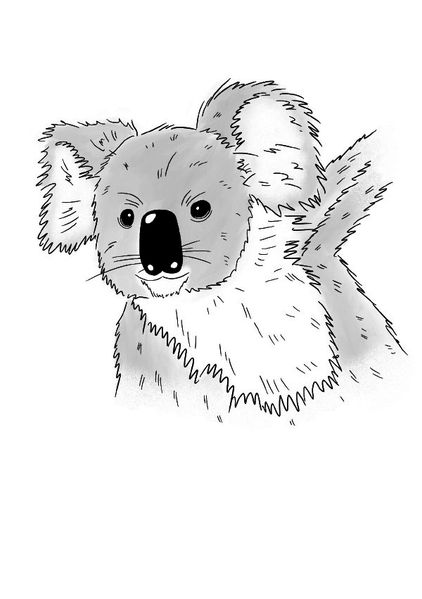 Cover von Inky Animals/Notizheft Inky Animals Koala