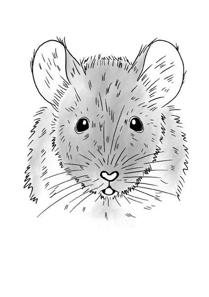 Cover von Inky Animals/Notizheft Inky Animals Maus