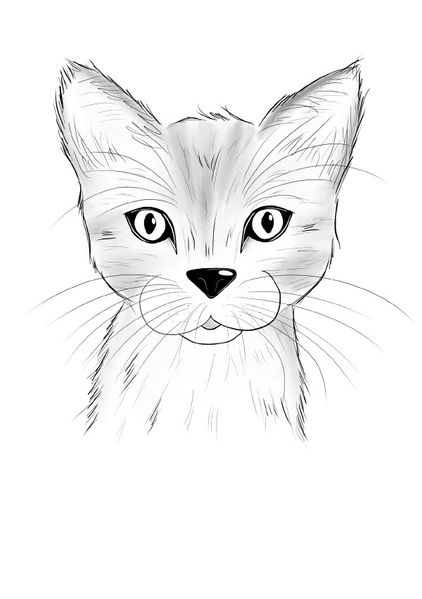 Cover von Inky Animals/Notizheft Inky Animals Katze