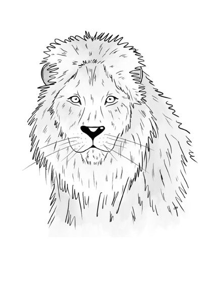 Cover von Inky Animals/Notizheft Inky Animals Löwe