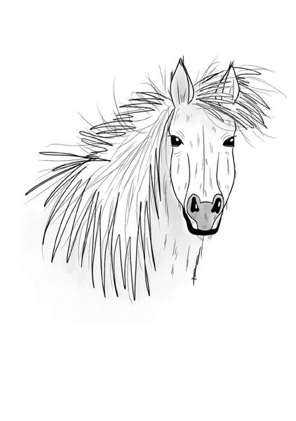 Cover von Inky Animals/Notizheft Inky Animals Pferd