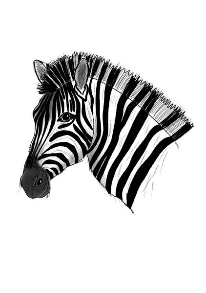 Cover von Inky Animals/Notizheft Inky Animals Zebra