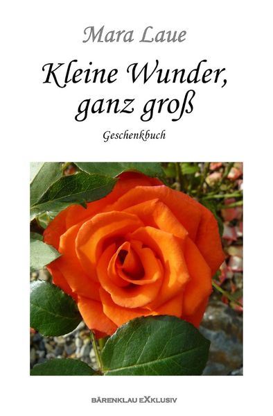 Cover von Kleine Wunder, ganz groß – Ein Geschenkbuch