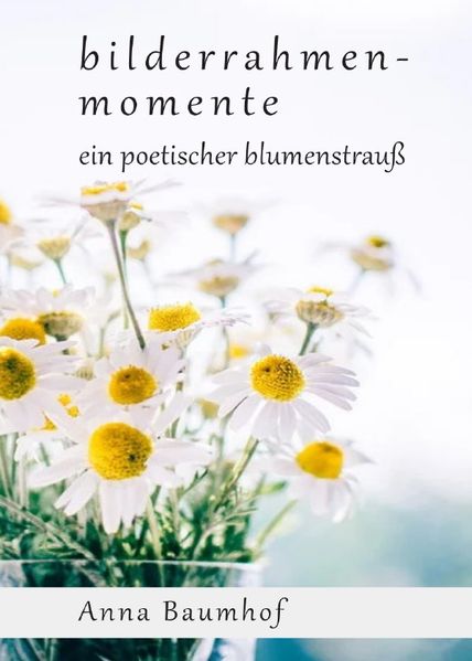 Cover von bilderrahmenmomente