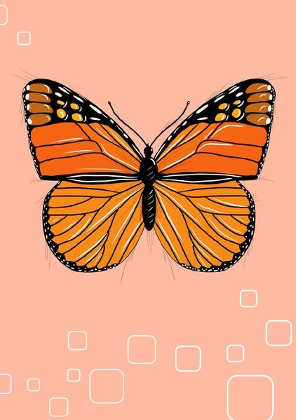 Cover von Tiere/Notizheft Schmetterling