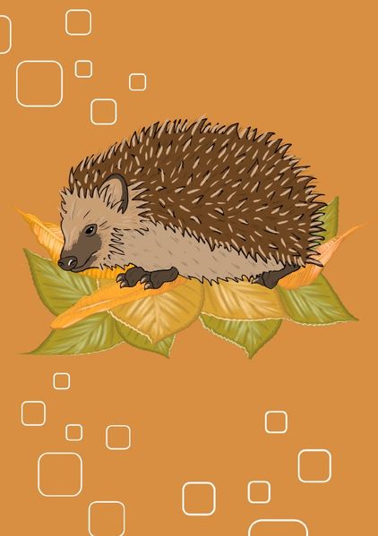 Cover von Tiere/Notizheft Igel