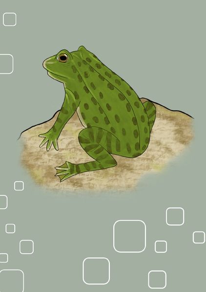 Cover von Tiere/Notizheft Frosch