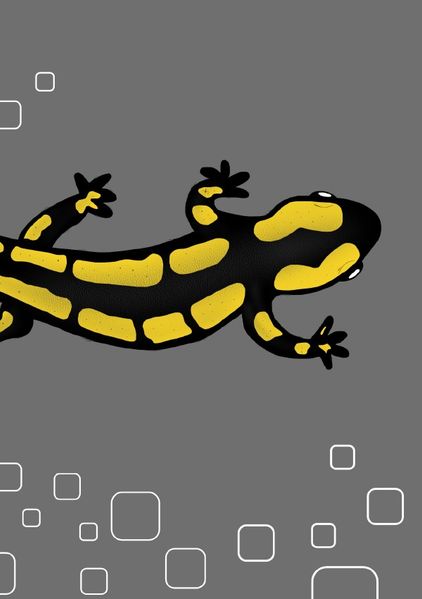 Cover von Tiere/Notizheft Salamander
