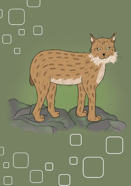 Cover von Tiere/Notizheft Luchs