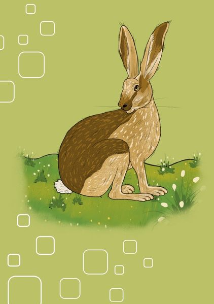 Cover von Tiere/Notizheft Hase