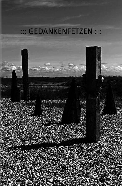 Cover von Gedankenfetzen