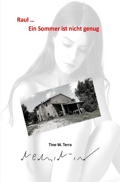 Cover von Raul … Ein Sommer und alles was kam
