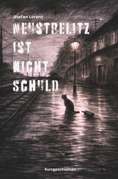 Cover von Neustrelitz ist nicht schuld