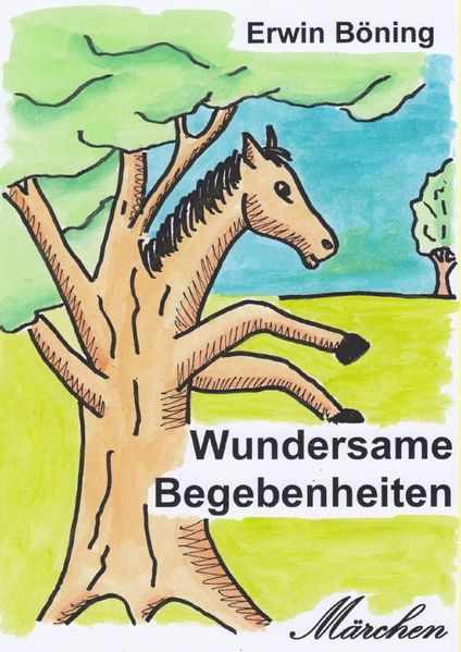 Cover von Wundersame Begebenheiten