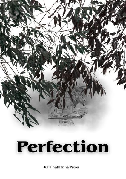Cover von Perfectioner/Perfection