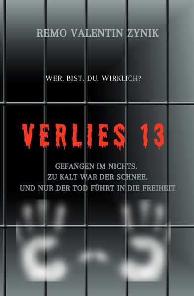 Cover von Verlies 13