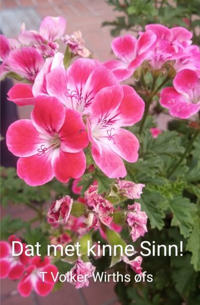 Cover von Dat met kinne Sinn