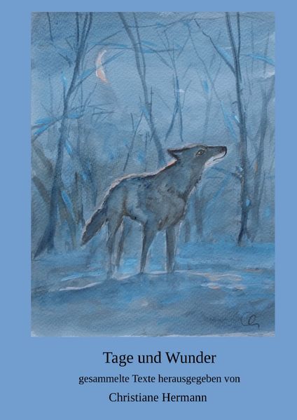 Cover von Tage und Wunder