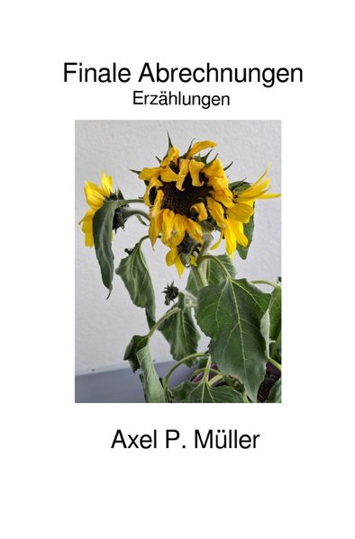 Cover von Finale Abrechnungen