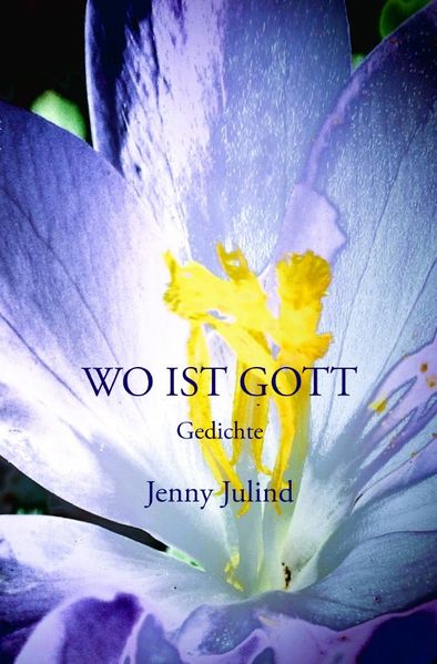 Cover von Wo ist Gott