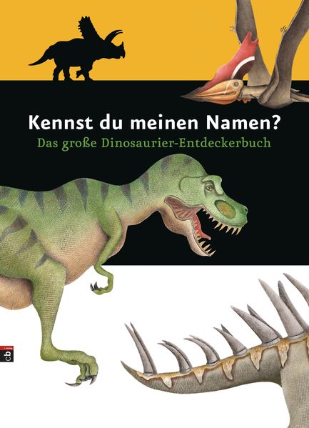 Cover von Kennst du meinen Namen?