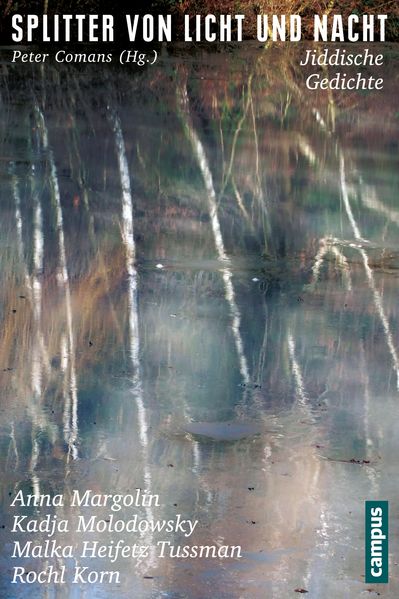 Cover von Splitter von Licht und Nacht