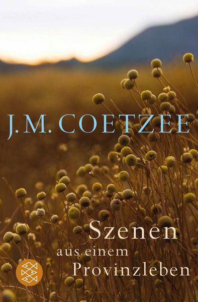 Cover von Szenen aus einem Provinzleben