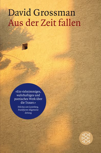 Cover von Aus der Zeit fallen