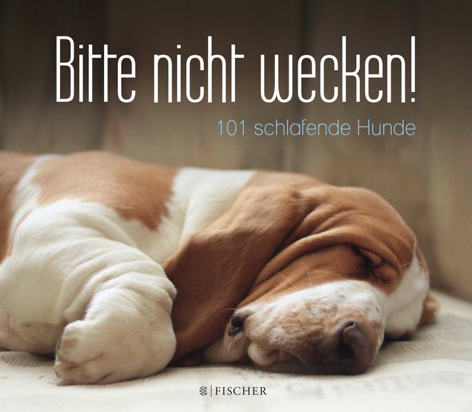 Cover von Bitte nicht wecken!