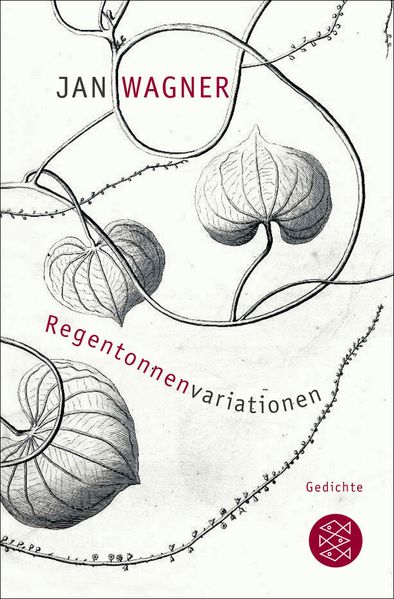 Cover von Regentonnenvariationen