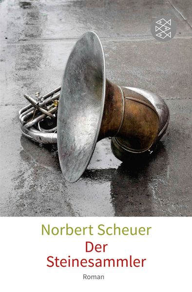 Cover von Der Steinesammler
