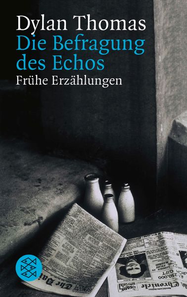 Cover von Die Befragung des Echos