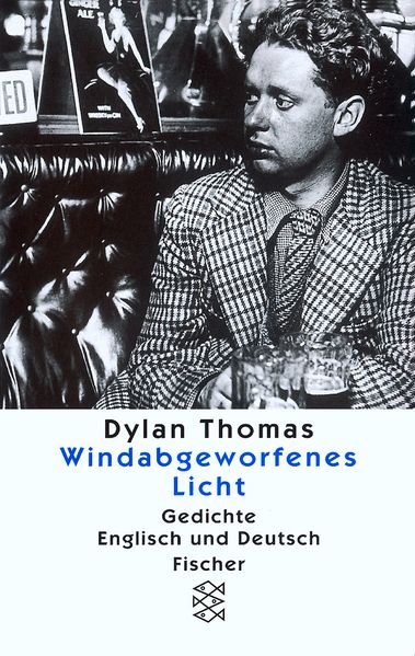 Cover von Windabgeworfenes Licht