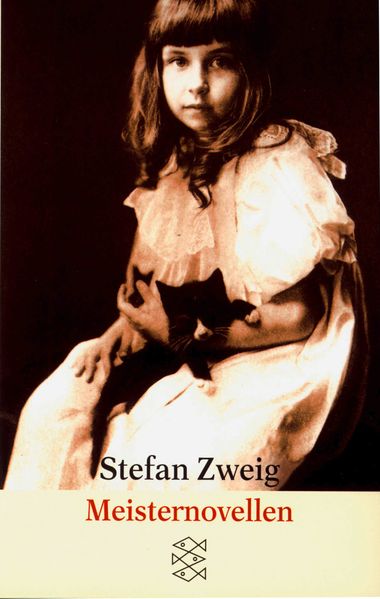 Cover von Meisternovellen