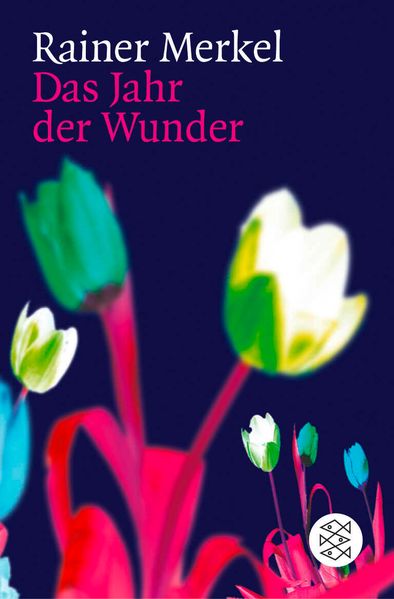 Cover von Das Jahr der Wunder