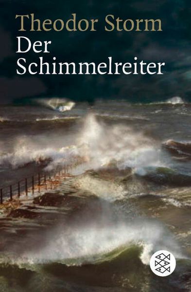 Cover von Der Schimmelreiter