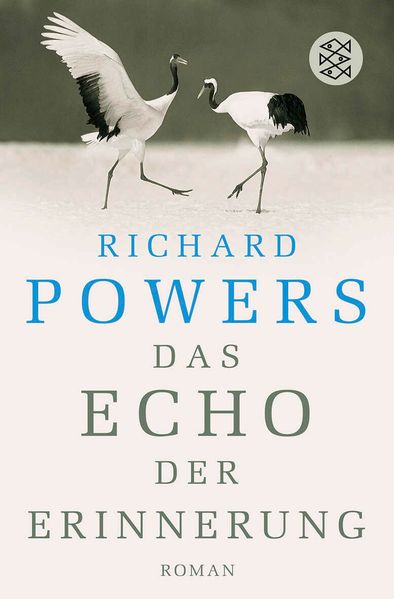 Cover von Das Echo der Erinnerung