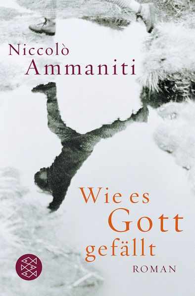 Cover von Wie es Gott gefällt