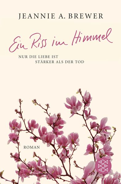 Cover von Ein Riss im Himmel
