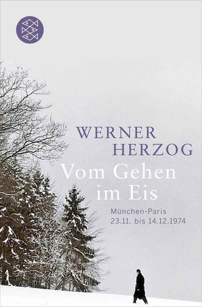 Cover von Vom Gehen im Eis