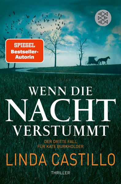 Cover von Wenn die Nacht verstummt