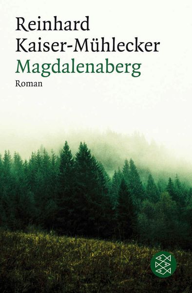 Cover von Magdalenaberg