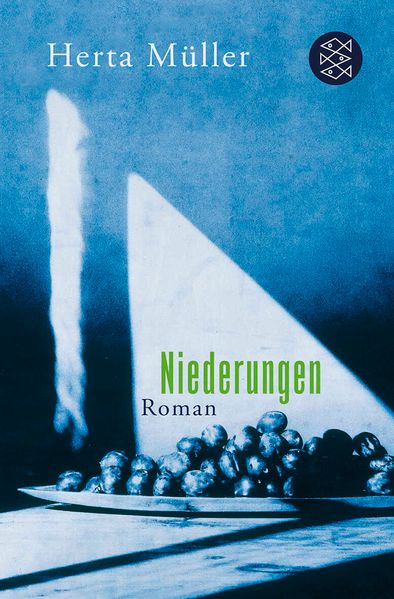 Cover von Niederungen