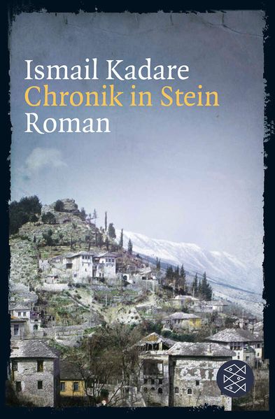Cover von Chronik in Stein