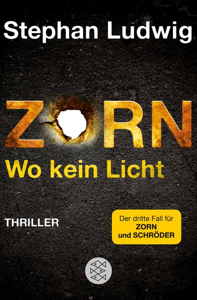 Cover von Zorn – Wo kein Licht