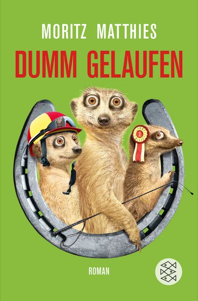Cover von Dumm gelaufen