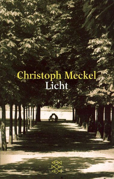 Cover von Licht